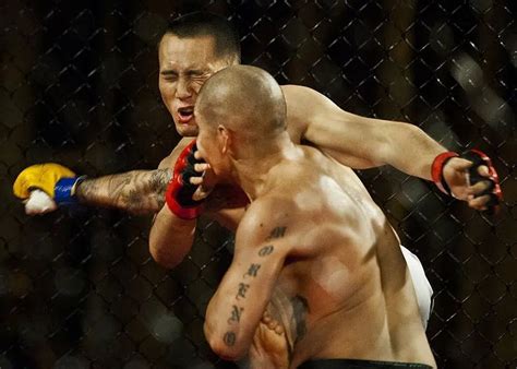Wedden Op Ufc Wedstrijden .
